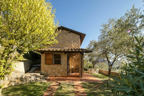 Building Exterior, Garden