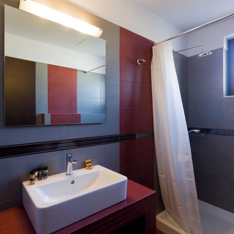 Standard Room | Bathroom | Shower, hair dryer, slippers, towels
