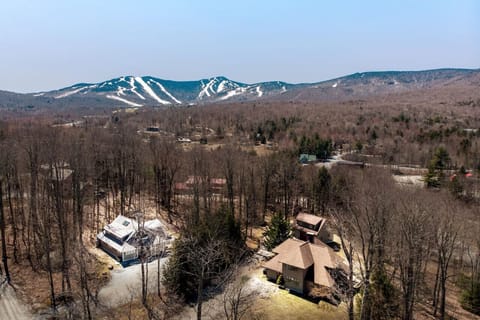 Aerial shot capturing the layout and natural beauty of RoyalBear and Bearet properties.