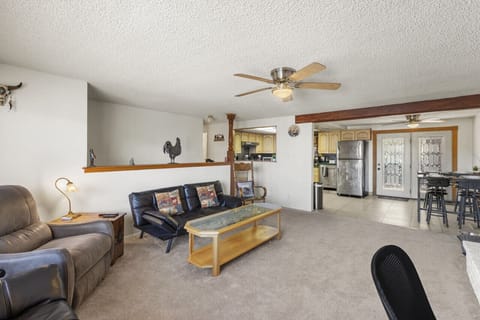 A perfect blend of relaxation and entertainment