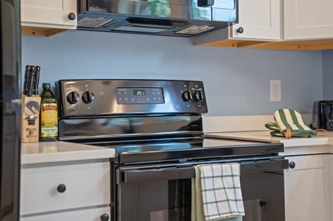 Modern stove for the kitchen