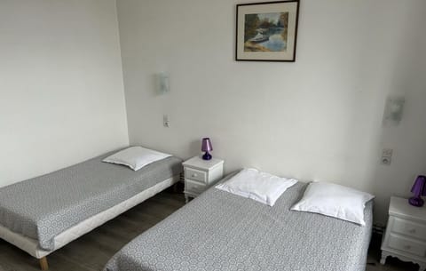 Basic Triple Room, Multiple Beds | Soundproofing, free WiFi