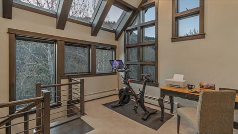 Loft level via spiral staircase leads to office space, more views, and a Peloton!