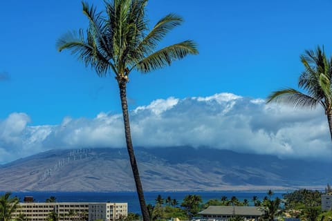 Stunning mountain and ocean views frame this tropical vacation retreat, with swaying palms welcoming you to island paradise.