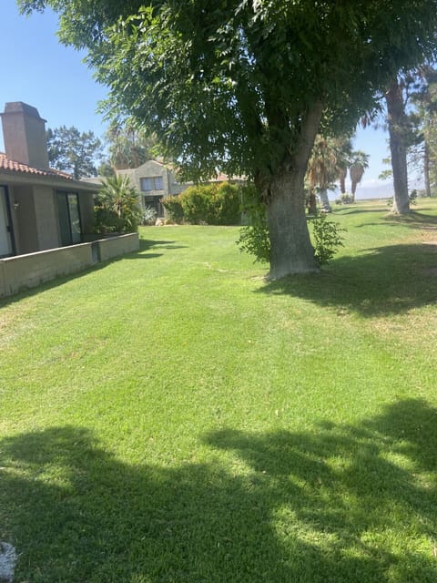 View to the left of back patio