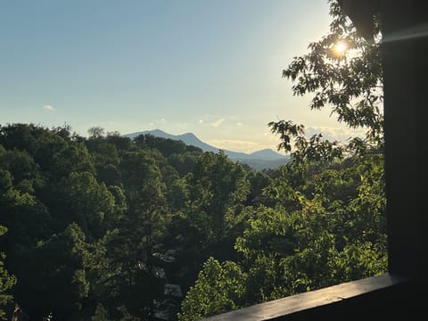 View from upper rear balcony.