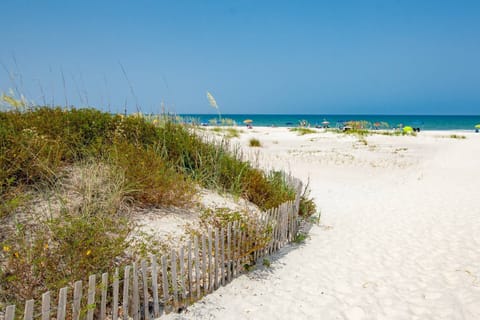 On the beach, water skiing, fishing
