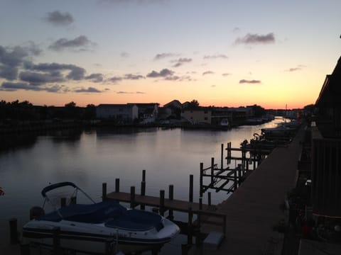 Marina