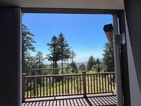 View from Livingroom