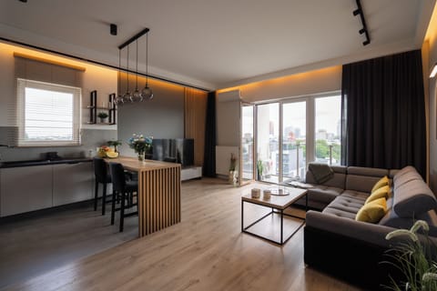 Deluxe Apartment, City View | Living area | 30-inch flat-screen TV with cable channels