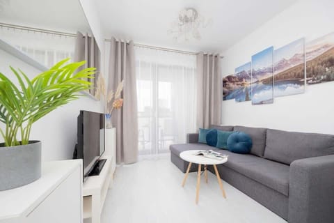 Spacious living room with full equipment. 
