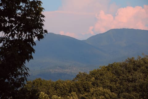 Mountain Views