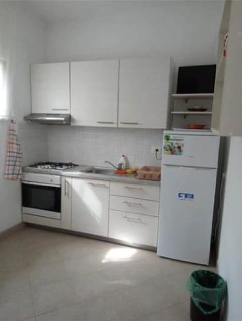 Apartment (Apartment Mijatovic - One Bedroom Apa) | Private kitchen | Fridge