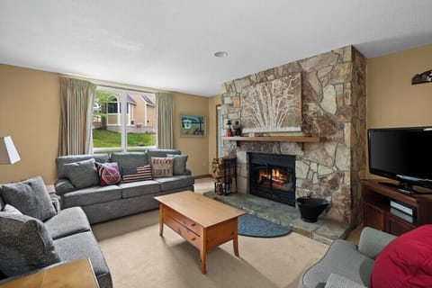 Living Room w/ Queen Pullout Sofa