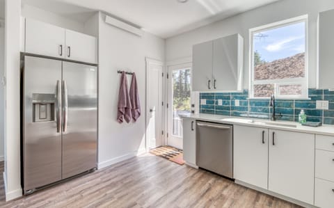 Refrigerator and Back Door