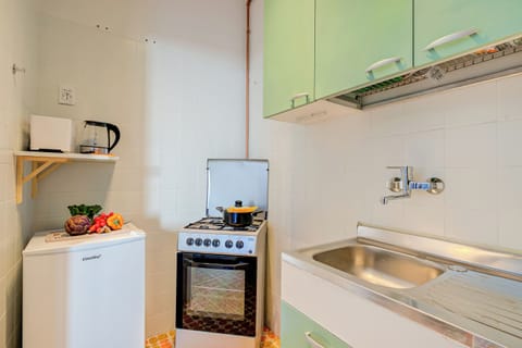 Fridge, oven, stovetop, electric kettle