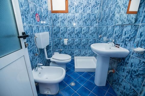 Hair dryer, bidet, shampoo, toilet paper