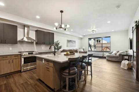 Kitchen/Living Room