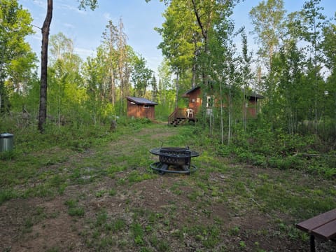 Cabin and outhouse