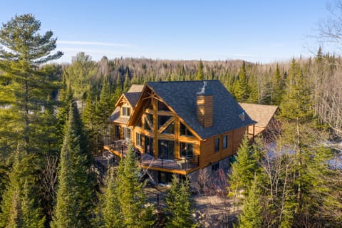 View of the forest from Chalet Baycliff