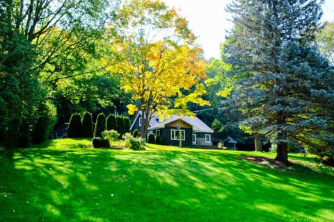 Tucked into 3+ private acres, Woodski Retreat offers space to roam, play, and relax surrounded by forest and fresh air year-round.