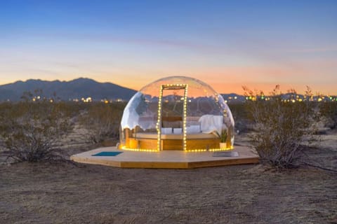 Drift off under the vast desert sky in our cozy, transparent dome for a true Joshua Tree glamping experience.
