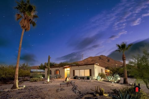 Experience the magic of the desert under the stars