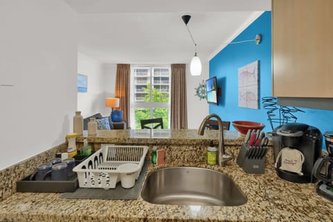 Comfort Condo, 1 King Bed with Sofa bed, Private Bathroom | Private kitchen