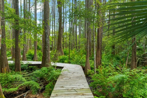 Hiking