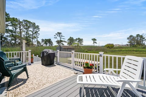 Back Porch