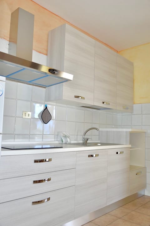 Fridge, stovetop, cookware/dishes/utensils, freezer