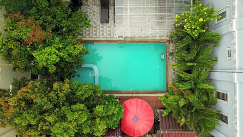 Outdoor pool, pool umbrellas, sun loungers