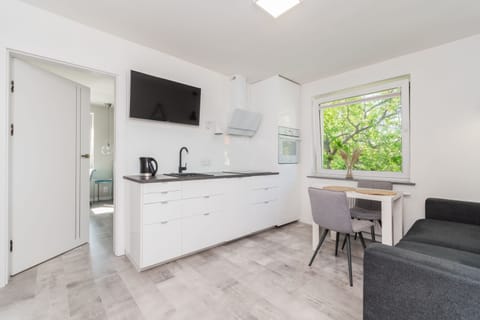 Classic Apartment | Private kitchen | Fridge, oven, stovetop, dishwasher