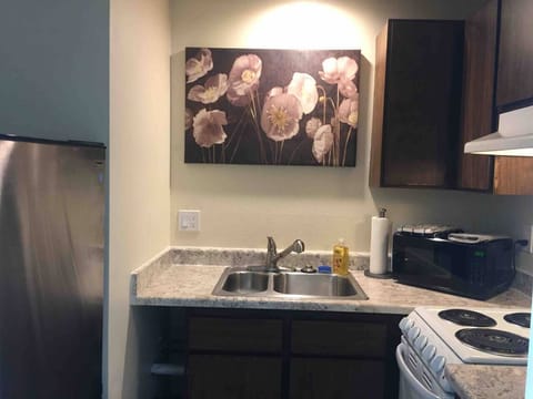 Kitchen with oven, microwave, fridge and all you need for your stay