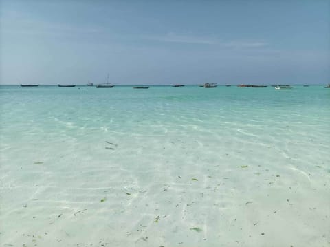 On the beach, white sand