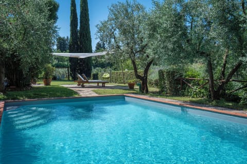 Seasonal outdoor pool, sun loungers