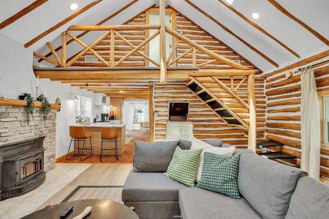 Cozy modern designed log cabin living room