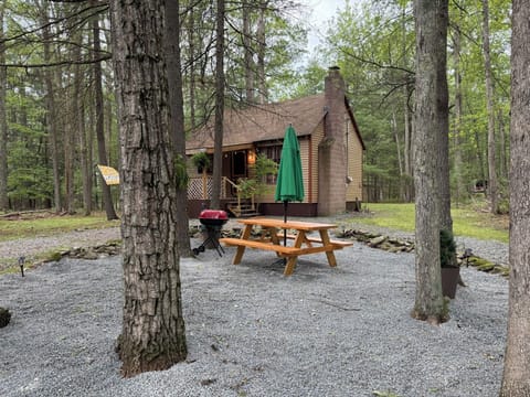 Our Cabin got a Facelift.  New siding and picnic area.  
