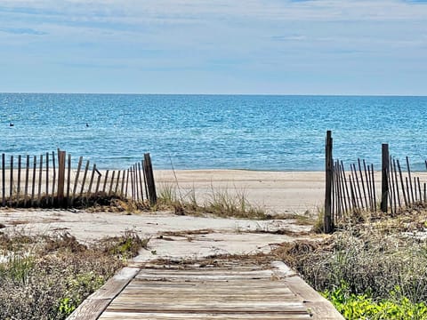 the beach from the boardwalk