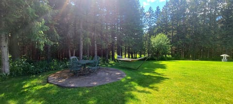 Jay cooke cottage outdoor sitting and eating area with hammock &Pines 60-70 ft.