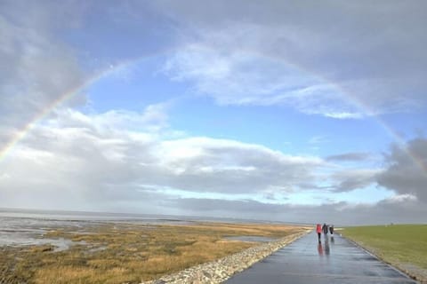 Immediate Surroundings [summer] (<1 km)