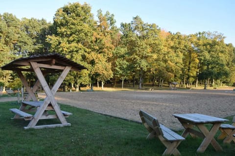 Immediate Surroundings [summer] (<1 km)