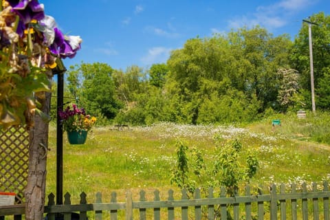 Picket fence and gate leading to wild flower meadow