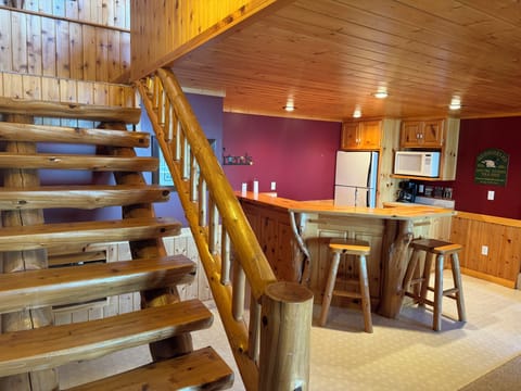 Lower level wet bar and refrigerator