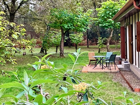 Patio garden view