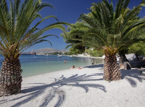 Apartment (Apartment Villa Daniela - Three Bedro) | Beach