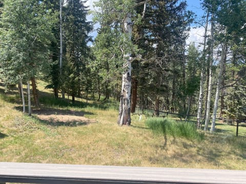 Holiday House private back yard.