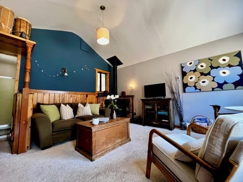 Living room with wood stove and smart TV.  