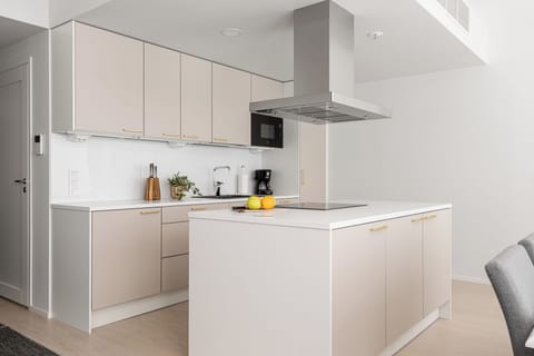 Premium Apartment, River View | Private kitchen | Fridge, microwave, oven, stovetop