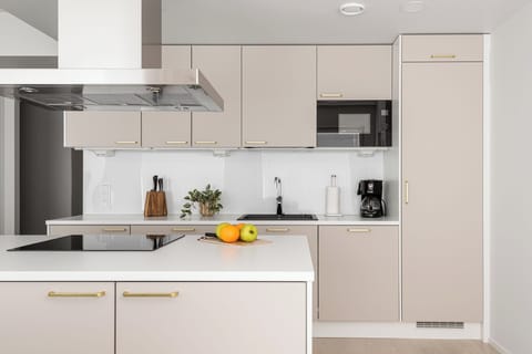 Premium Apartment, River View | Private kitchen | Fridge, microwave, oven, stovetop